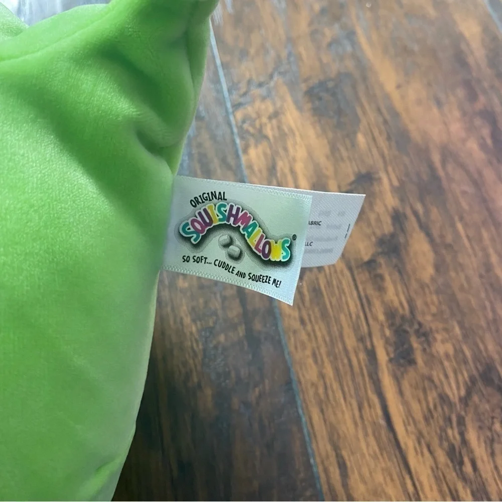 Squishmallows Reginald the Corgi in Green Dragon Costume